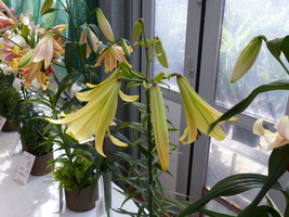 Foto: Dr. Peter Müller